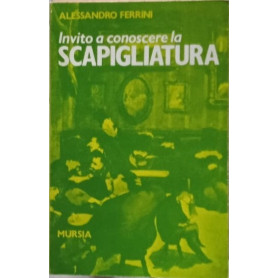 Librisaggi