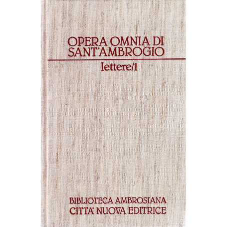 Opera omnia. Lettere (Vol. 19/1)