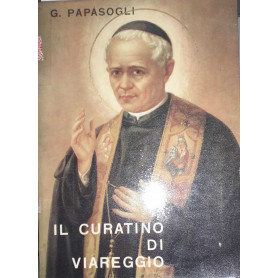 Il curatino di Viareggio. S.Antonio M.Pucci O.S.M.Librisaggi