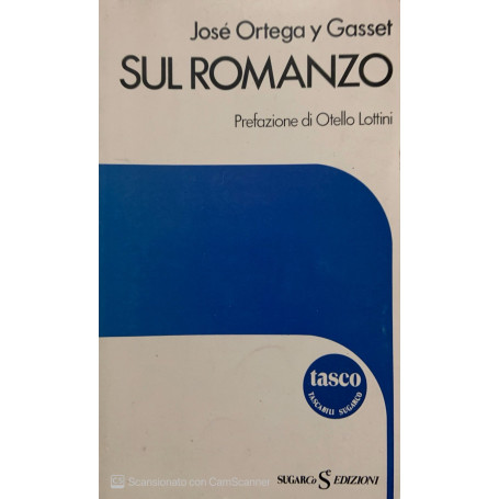 Sul romanzo