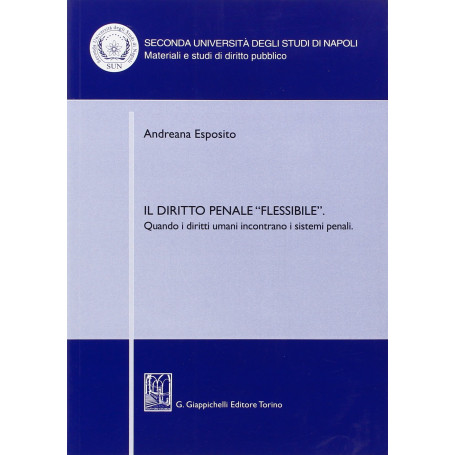 Il diritto penale flessibileÂ». Quando i diritti umani incontrano i sistemi penali