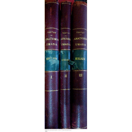 Anatomia umana I osteologia II artrologia III miologia
