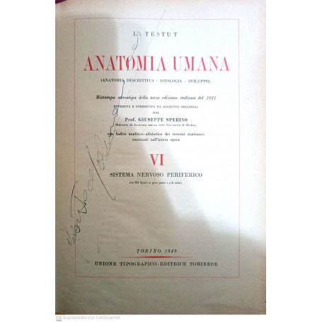 Anatomia umana vol. VI sistema nervoso periferico
