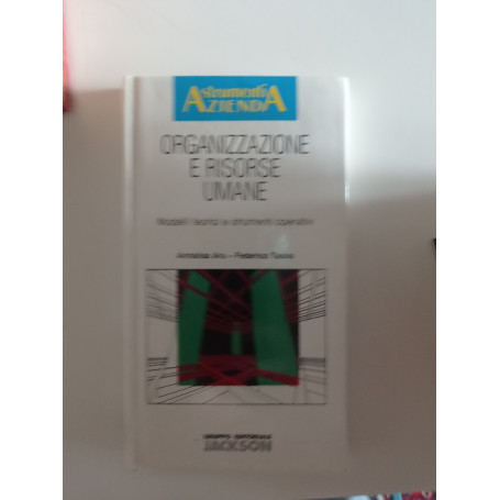 Organizzazione e risorse umane : modelli teorici e strumenti operativi