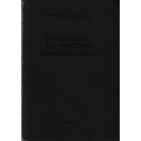 Lineamenti del processo amministrativo