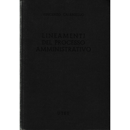 Lineamenti del processo amministrativo