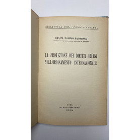 La protezione dei diritti umani nell'ordinamento internazionale
