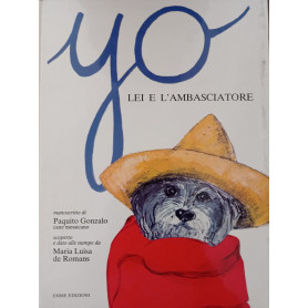 YO Lei e l'Ambasciatore