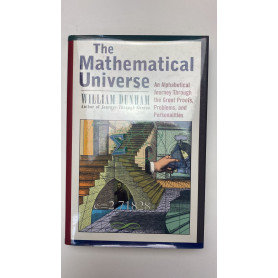 The Mathematical Universe