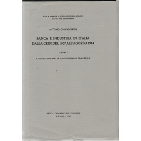 Banca e industria in Italia dalla crisi del 1907 all'agosto 1914. Vol. 1°.