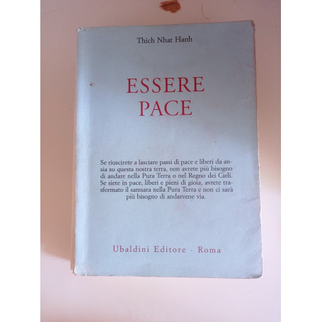 Essere pace. Con il cuore della comprensione e la meditazione camminata