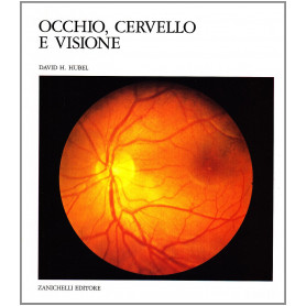 Occhio cervello visione