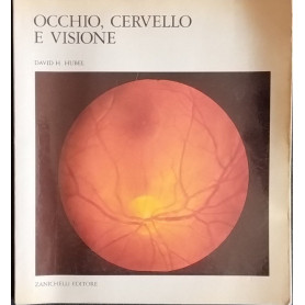 Occhio cervello visione