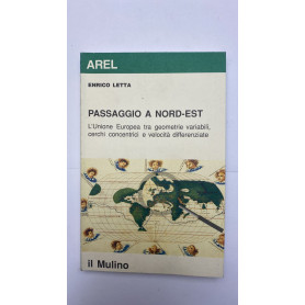 Passaggio a nord-est. L'unione europea tra geometrie variabili cerchi concentrici e velocità differenziate