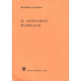 Il contabile pubblico