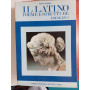 Il latino forme e strutture ESERCIZI 1 e 2