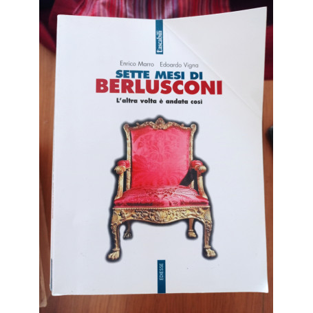 Sette mesi di Berlusconi