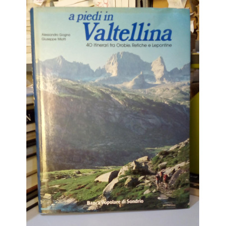 A piedi in Valtellina