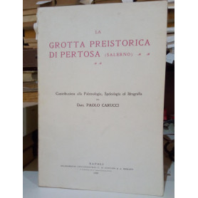Librisaggi