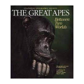 The Great Apes: Between Two Worlds