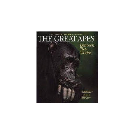 The Great Apes: Between Two Worlds