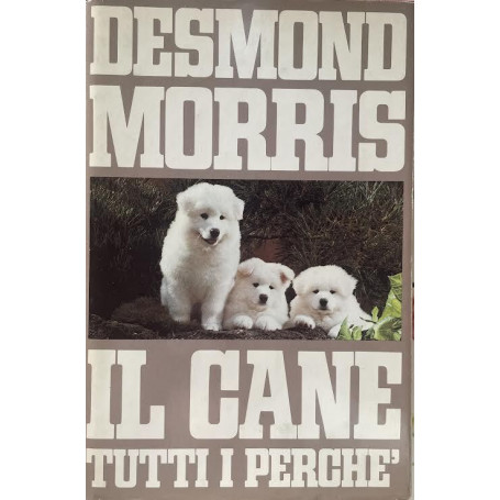 Il cane tutti i perche'
