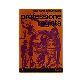 Professione regista