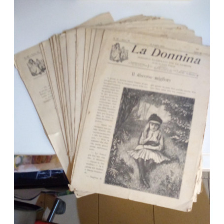 La Donnina. Periodico per e bambine. Numeri dal 27 al 43 del 1904.