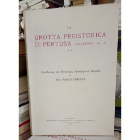 Librisaggi