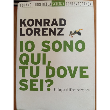 Io sono qui tu dove sei?