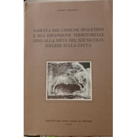 Nascita del comune spoletino e sua espansione territoriale fino alla metà del XIII secolo: riflessi sulla città.