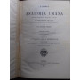 Anatomia Umana. Libro Nono: apparato della digestione