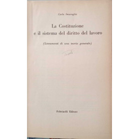 La costituzione e il sistema del diritto del lavoro ( lineamenti di una teoria generale).