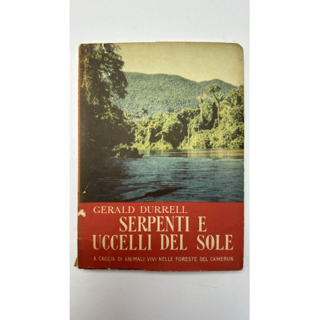 Serpenti e uccelli del sole. A caccia di animali vivi nelle foreste del Camerun