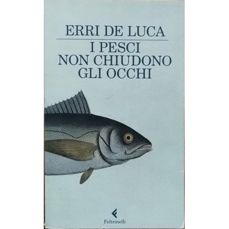 I pesci non chiudono gli occhi