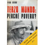 Terzo Mondo: perché povero?