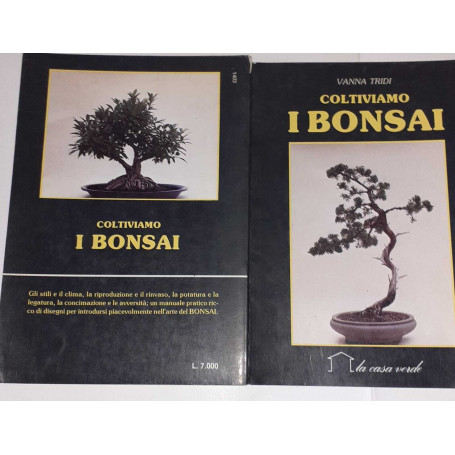 Coltiviamo i bonsai