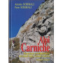 Alpi Carniche. Escursioni e testimonianze sui monti della grande guerra