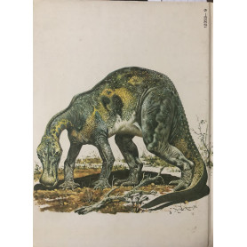 Librisaggi