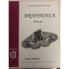 Brahmaea. Poesie