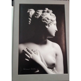 Antonio Canova. Il segno della bellezzaLibrisaggi