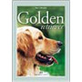 Il Golden Retriever.