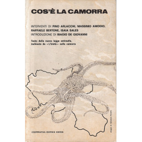 Librisaggi Librisaggi