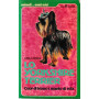 Lo Yorkshire Terrier.