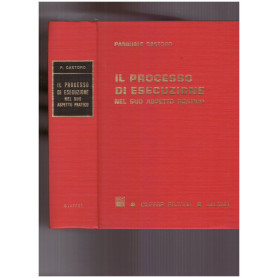 Il processo di esecuzione nel suo aspetto praticoLibrisaggi Il processo di esecuzione nel suo aspetto praticoLibrisaggi