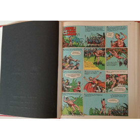 Tarzan. Raccolta tavole domenicali dal n. 478 al n. 699.Librisaggi