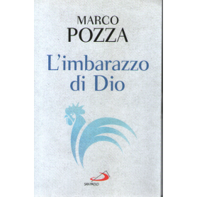 Librisaggi