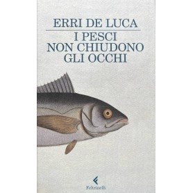 Librisaggi