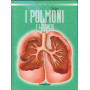 I polmoni e i bronchi.