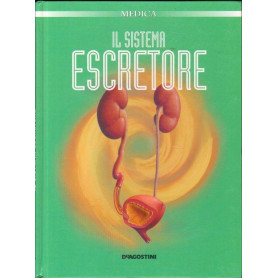 Il sistema escretore.